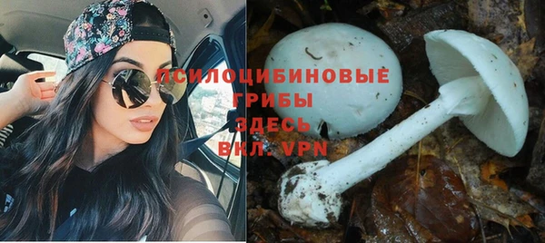 прущая мука Абаза
