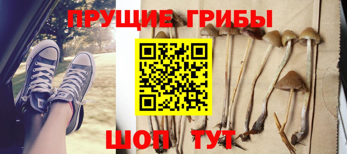 Богородицк  Галлюциногенные грибы Magic Shrooms  Вход с VPN 