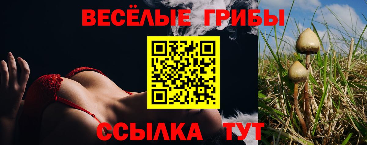Галлюциногенные грибы ЛСД Богородицк